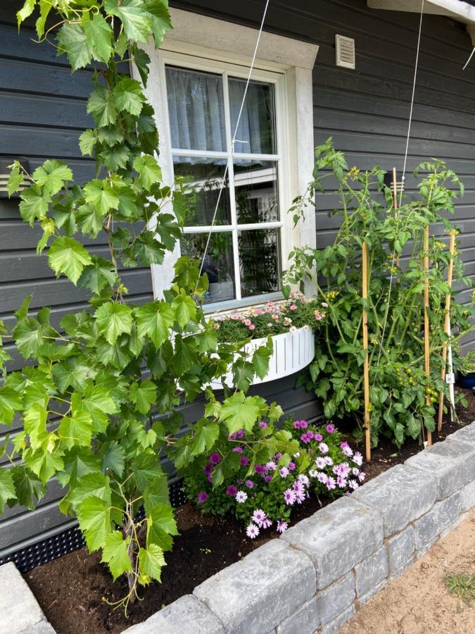 Stuga Pa Oeland Algutsrum Ngoại thất bức ảnh